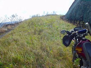 �I���t����