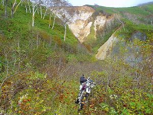 �I���t����