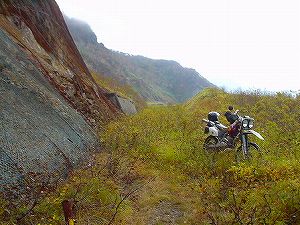 �I���t����