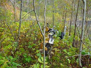 �I���t����