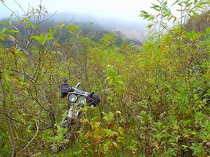 �I���t����