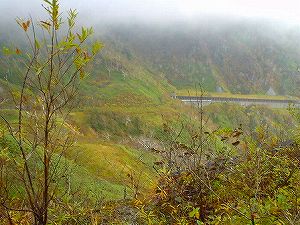 �I���t����