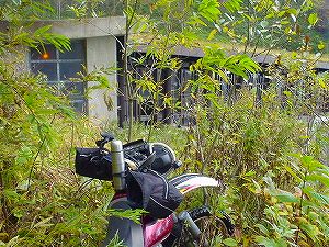 �I���t����