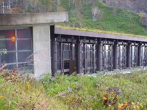 �I���t����