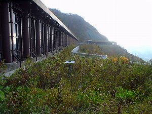 �I���t����