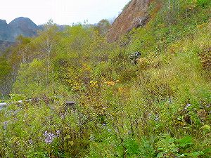 �I���t����