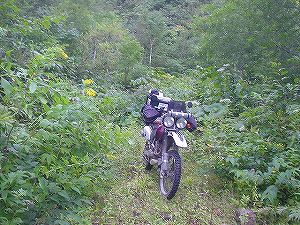 �P����(�P��ѓ�)4