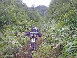 �P����(�P��ѓ�)5