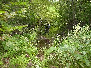 �P����(�P��ѓ�)6