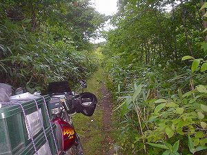 �P����(�P��ѓ�)7