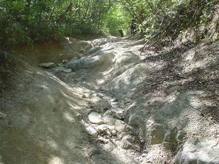 �L���ѓ�2-1