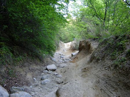 �L���ѓ�5-1