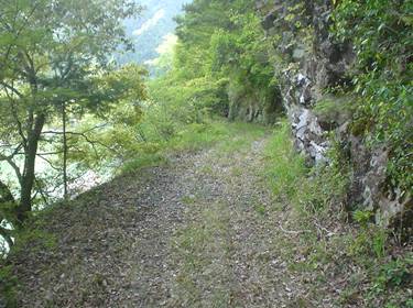 (�򕌌�/�p��)����418����(R418)