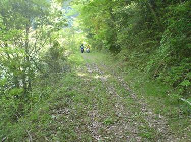 (�򕌌�/�p��)����418����(R418)