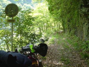 (�򕌌�/�p��)����418����(R418)