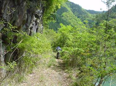 (�򕌌�/�p��)����418����(R418)