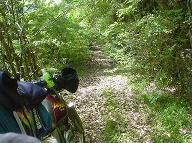 (�򕌌�/�p��)����418����(R418)