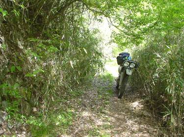 (�򕌌�/�p��)����418����(R418)