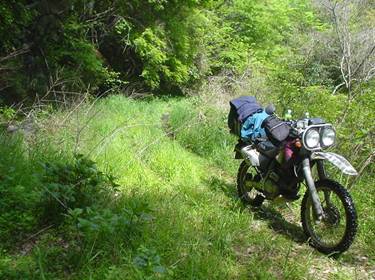 (�򕌌�/�p��)����418����(R418)