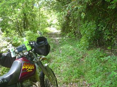 (�򕌌�/�p��)����418����(R418)