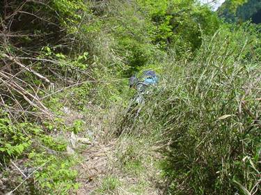 (�򕌌�/�p��)����418����(R418)