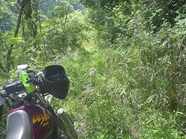 (�򕌌�/�p��)����418����(R418)