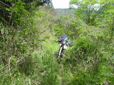 (�򕌌�/�p��)����418����(R418)