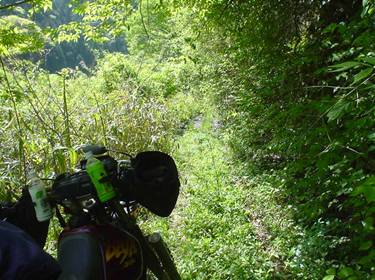 (�򕌌�/�p��)����418����(R418)