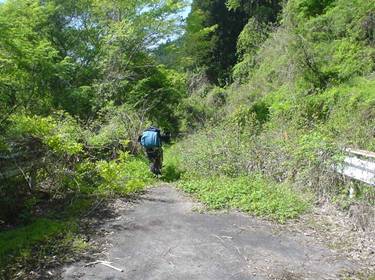 (�򕌌�/�p��)����418����(R418)