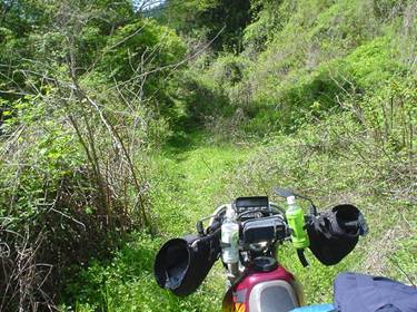 (�򕌌�/�p��)����418����(R418)