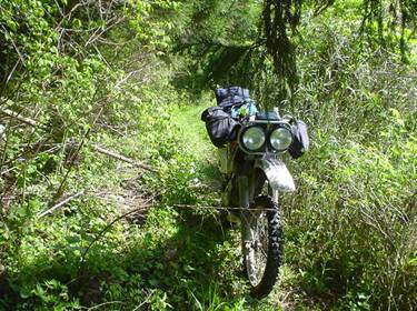 (�򕌌�/�p��)����418����(R418)