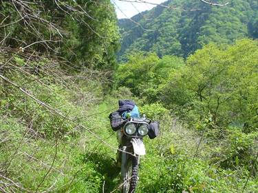 (�򕌌�/�p��)����418����(R418)