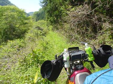 (�򕌌�/�p��)����418����(R418)