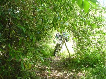 (�򕌌�/�p��)����418����(R418)