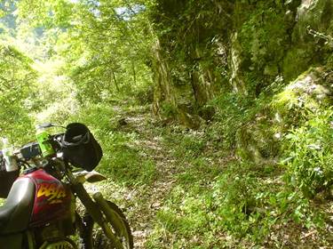 (�򕌌�/�p��)����418����(R418)