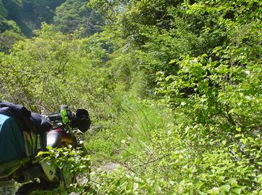 (�򕌌�/�p��)����418����(R418)