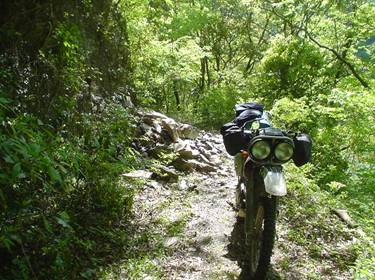 (�򕌌�/�p��)����418����(R418)