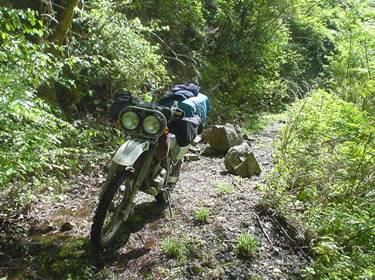 (�򕌌�/�p��)����418����(R418)