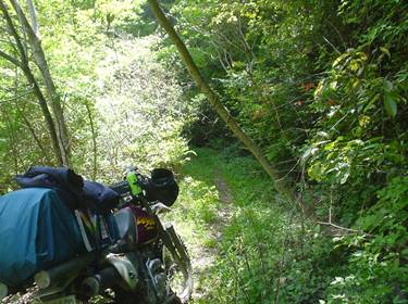 (�򕌌�/�p��)����418����(R418)