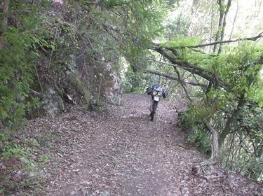 (�򕌌�/�p��)����418����(R418)