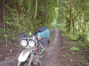 (�򕌌�/�p��)����418����(R418)