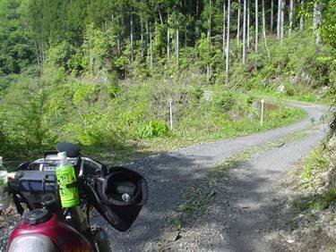 (�򕌌�/�p��)����418����(R418)