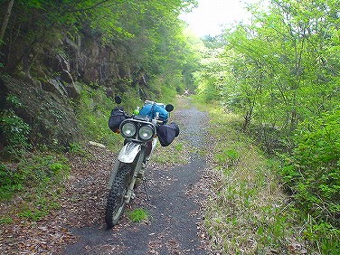 ����352�吼���Q��