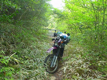 ����352�吼���Q��