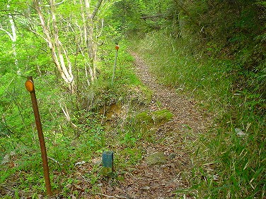 ����352�吼���Q��