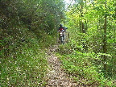 ����352�吼���Q��