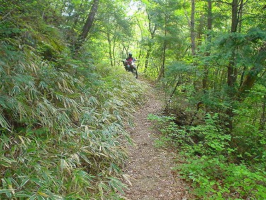 ����352�吼���Q��