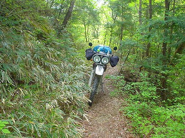 ����352�吼���Q��