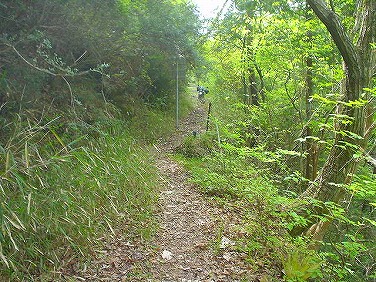 ����352�吼���Q��