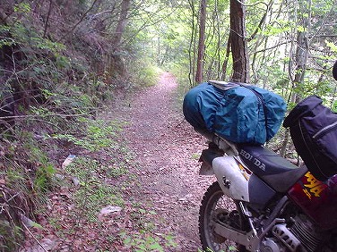 ����352�吼���Q��